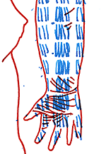 Hannes Kater  Detail Tageszeichnung vom 17.11.2016