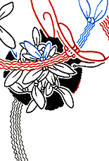 Hannes Kater  Detail Tageszeichnung vom 12.02.2017