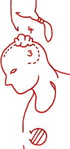 Hannes Kater  Detail Tageszeichnung vom 07.04.2015