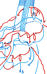 Hannes Kater  Detail Tageszeichnung vom 13.04.2015