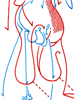 Hannes Kater  Detail Tageszeichnung vom 23.04.2015