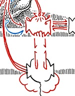 Hannes Kater  Detail Tageszeichnung vom 15.05.2015