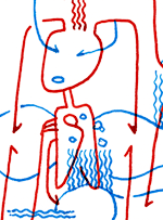 Hannes Kater  Detail Tageszeichnung vom 20.05.2015