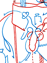 Hannes Kater  Detail Tageszeichnung vom 01.06.2015