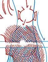 Hannes Kater  Detail Tageszeichnung vom 23.09.2015