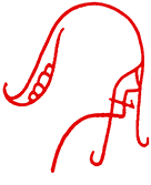 Hannes Kater  Lieblingspfeile