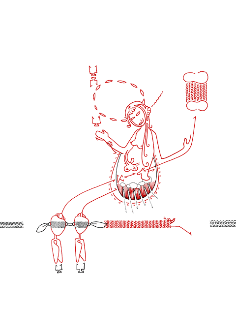 Tageszeichnung f&uuml;r den 26.09.2010