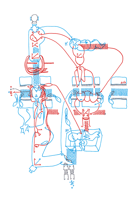Tageszeichnung f&uuml;r den 28.05.2010
