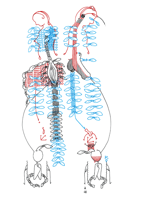 Tageszeichnung f&uuml;r den 22.06.2010
