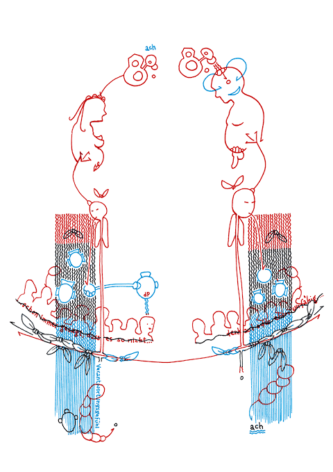 Tageszeichnung f&uuml;r den 29.06.2010