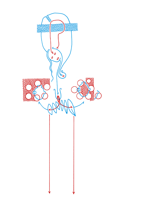 Tageszeichnung f&uuml;r den 10.07.2010