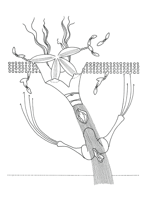 Tageszeichnung f&uuml;r den 22.02.2010
