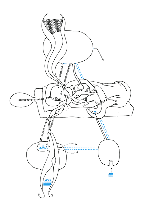 Tageszeichnung f&uuml;r den 14.03.2010