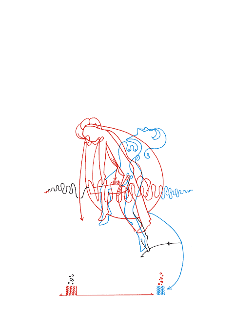 Tageszeichnung f&uuml;r den 15.01.2009