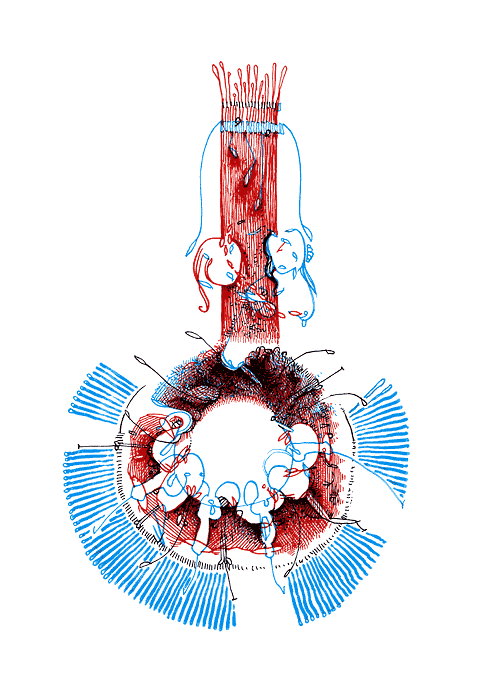 Tageszeichnung f&uuml;r den 07.02.2009