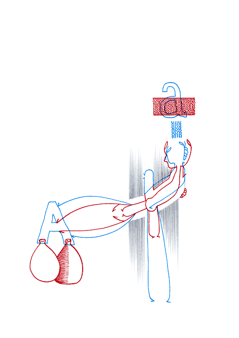 Tageszeichnung f&uuml;r den 12.02.2009