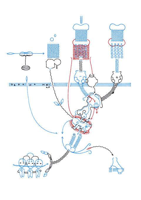 Hannes Kater - Zeichnung f&uuml;r den 10-07-2008