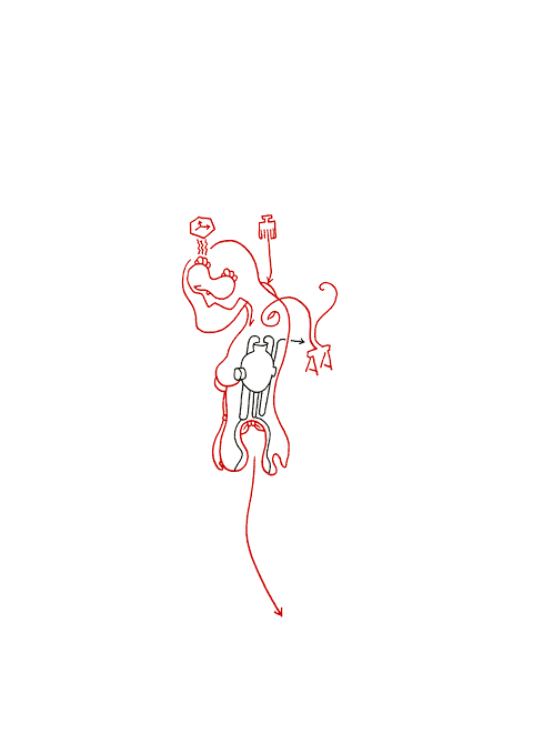 Tageszeichnung f&uuml;r den 17.10.2008