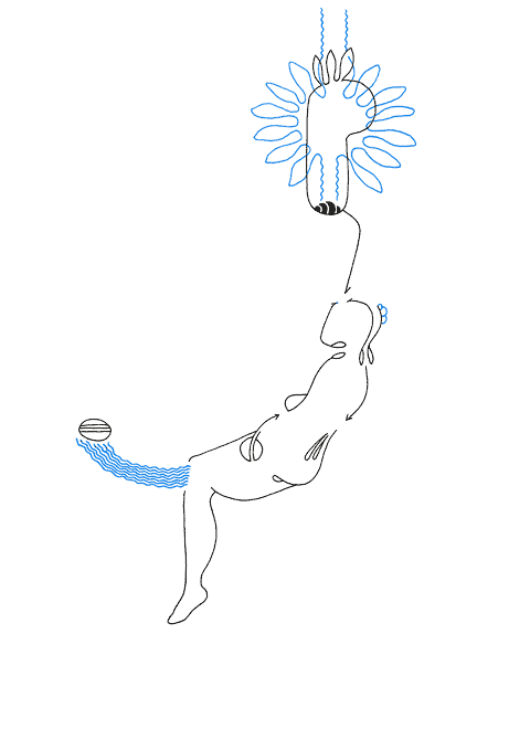 Tageszeichnung f&uuml;r den 18.10.2008