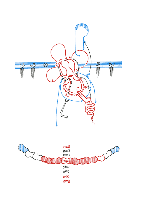 Tageszeichnung f&uuml;r den 21.10.2008