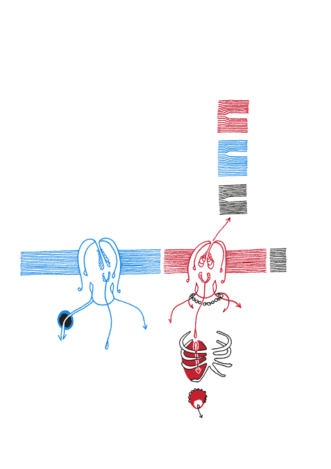 Tageszeichnung f&uuml;r den 22.10.2008