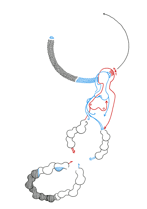 Hannes Kater - Zeichnung f&uuml;r den 10-27-2008