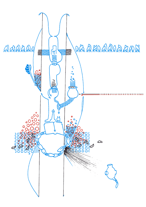 Hannes Kater - Zeichnung f&uuml;r den 10-28-2008