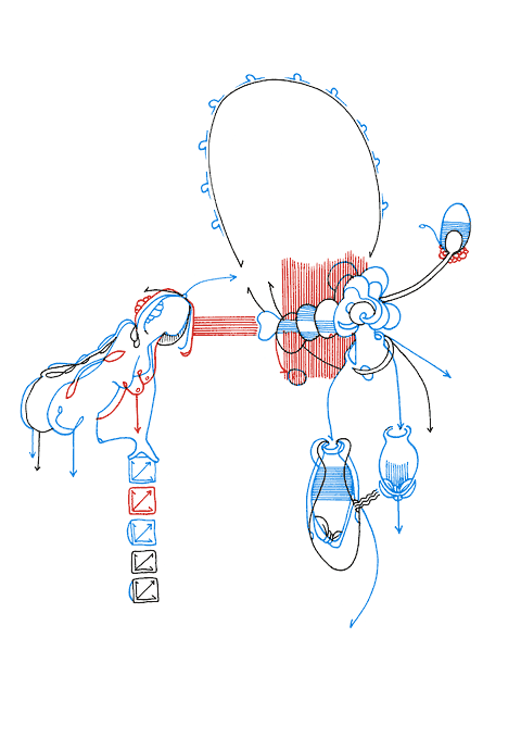 Hannes Kater - Zeichnung f&uuml;r den 10-30-2008