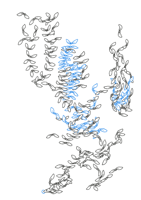 Hannes Kater - Zeichnung f&uuml;r den 11-01-2008