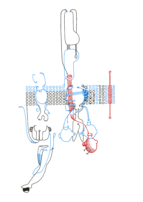 Hannes Kater - Zeichnung f&uuml;r den 11-02-2008
