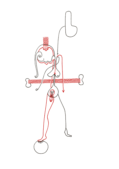 Hannes Kater - Zeichnung f&uuml;r den 11-27-2008