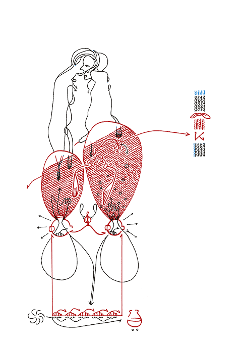 Tageszeichnung f&uuml;r den 01.12.2008