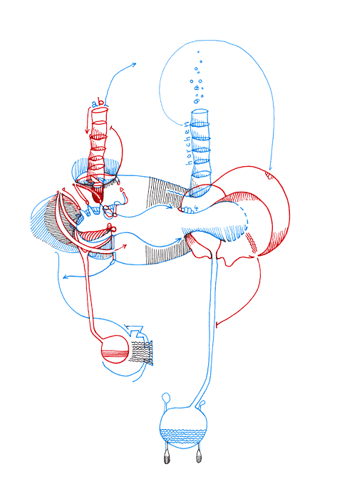Tageszeichnung f&uuml;r den 15.08.2008