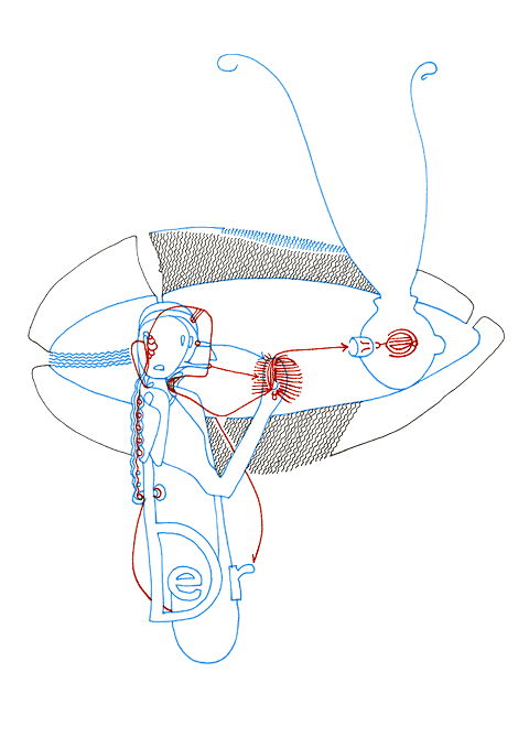 Tageszeichnung f&uuml;r den 16.08.2008