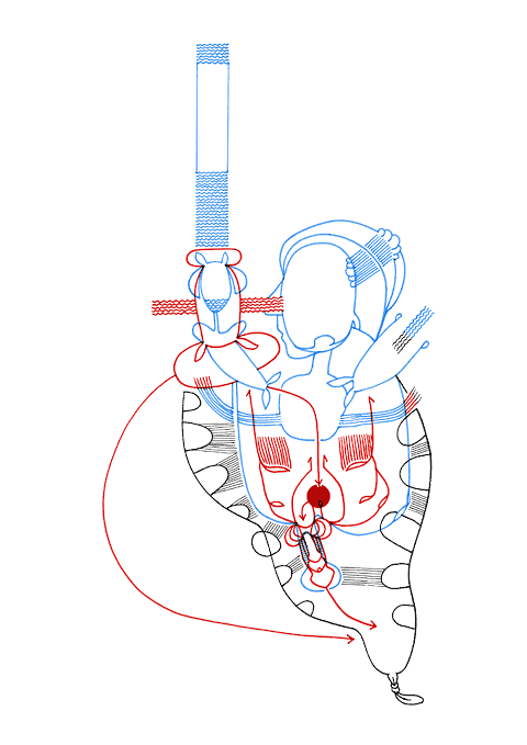 Tageszeichnung f&uuml;r den 13.09.2008