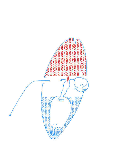 Tageszeichnung f&uuml;r den 17.09.2008