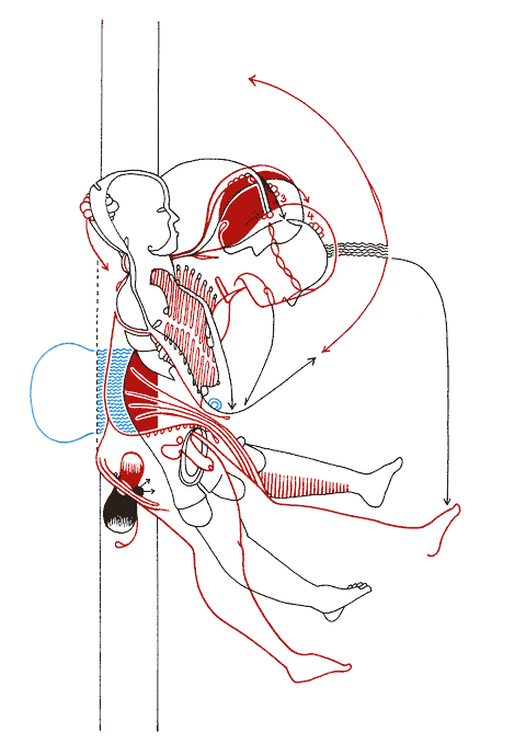 Tageszeichnung f&uuml;r den 29.09.2008