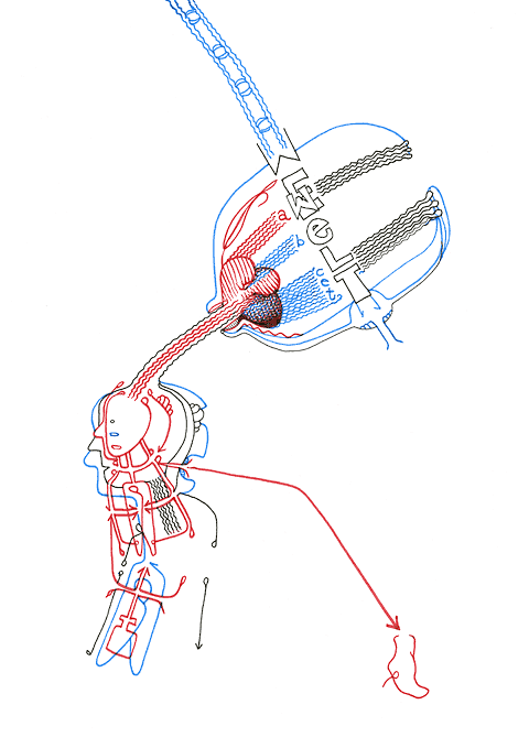 Hannes Kater - Zeichnung f&uuml;r den 04-07-2008