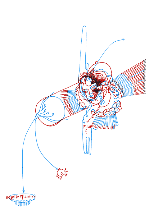 Hannes Kater - Zeichnung f&uuml;r den 30-07-2008