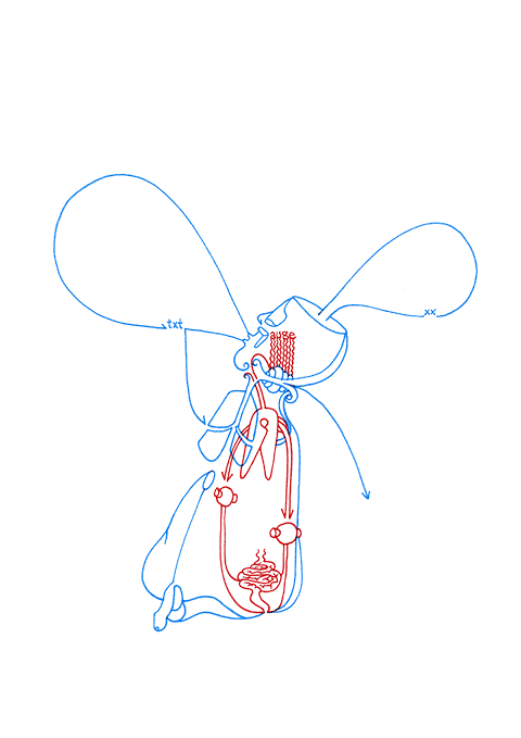 Hannes Kater - Zeichnung f&uuml;r den 03-08-2008