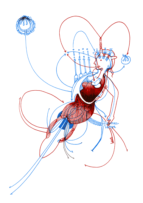 Tageszeichnung f&uuml;r den 04.08.2008