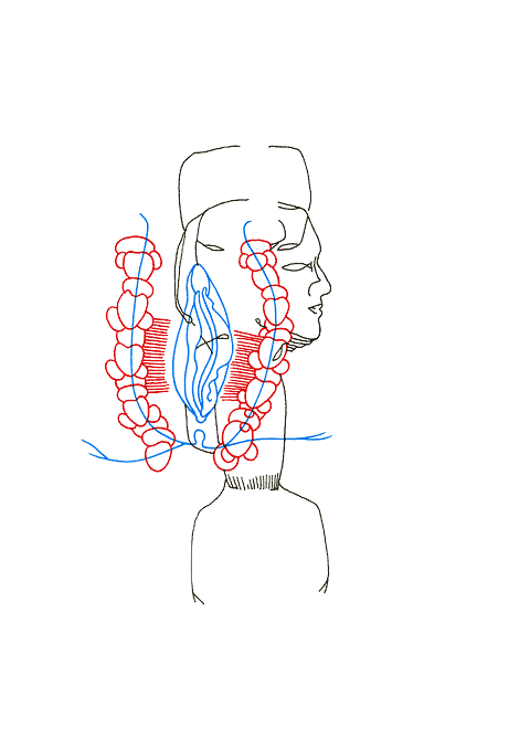 Hannes Kater - Zeichnung f&uuml;r den 07-05-2007