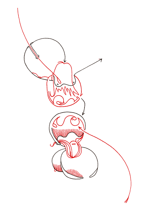 Hannes Kater - Zeichnung f&uuml;r den 12-05-2007