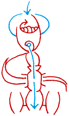 Hannes Kater - Zeichnung f&uuml;rs weblog