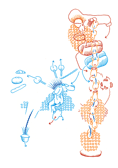 Hannes Kater - B&auml;ckerzeichnung 012 - 381 x 539 Pixel